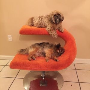 Meet your Posher, Marlene